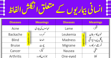 List of Diseases in Humans In English To Urdu | Disease Vocabulary