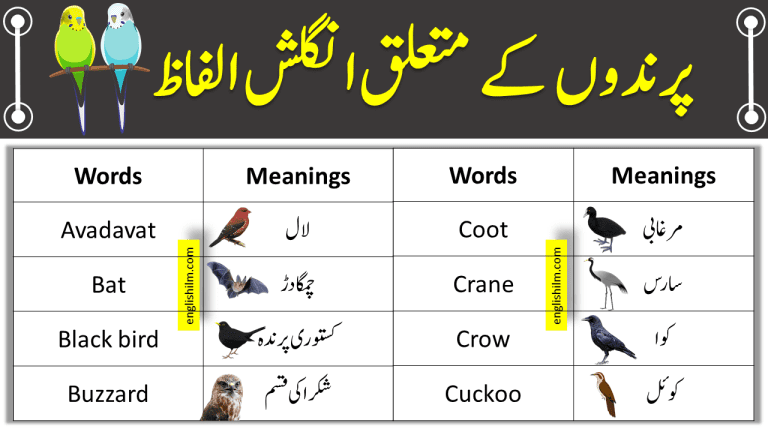 Birds Names List In English With Urdu Meanings | Vocabulary