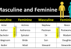 Masculine and Feminine | 100 Examples of Gender of Nouns