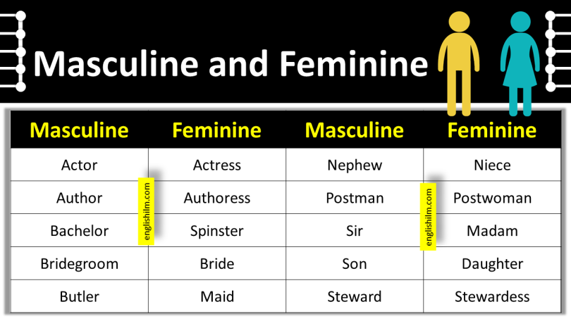 Masculine and Feminine | 100 Examples of Gender of Nouns