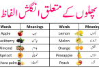 Fruits Vocabulary Words In English With Meanings In Urdu