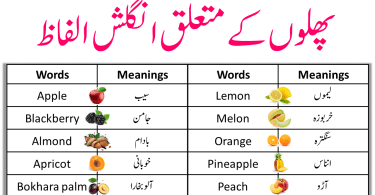 Fruits Vocabulary Words In English With Meanings In Urdu