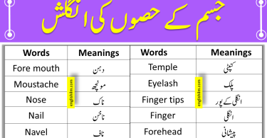 Parts Of Body In English With Meanings In Urdu | Vocabulary