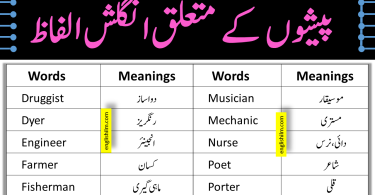 Professions Vocabulary In English With Meanings In Urdu