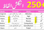 250+ Vocabulary Words List With Urdu Meanings