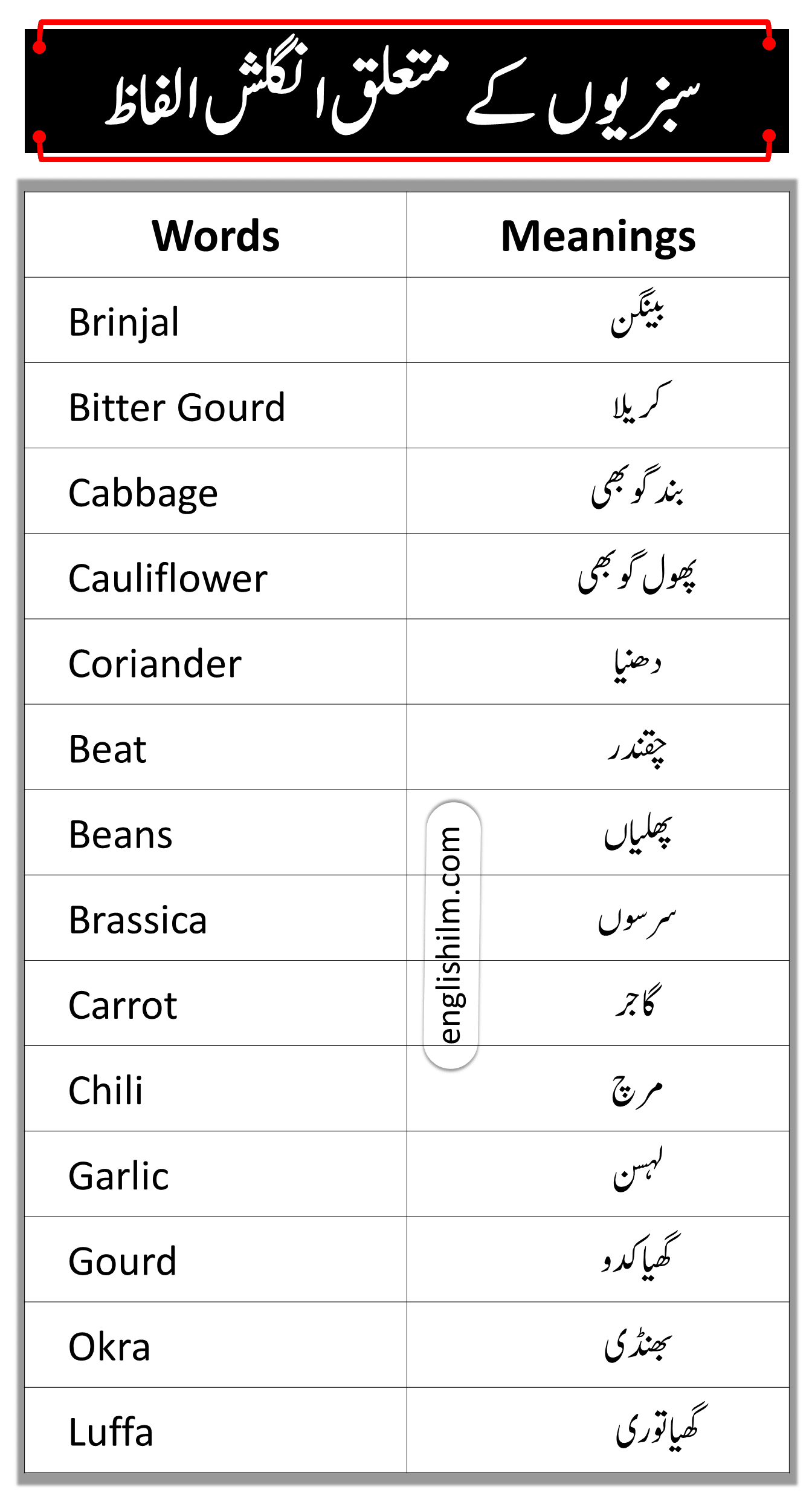 Vegetable Names In English With Meanings In Urdu • Englishilm