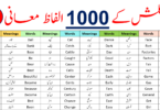 1000 A To Z English Vocabulary Words With Urdu Meanings | PDF