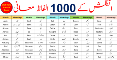 1000 A To Z English Vocabulary Words With Urdu Meanings | PDF