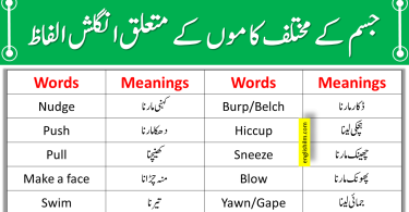 Body Actions And Movements Vocabulary In English With Urdu Meanings