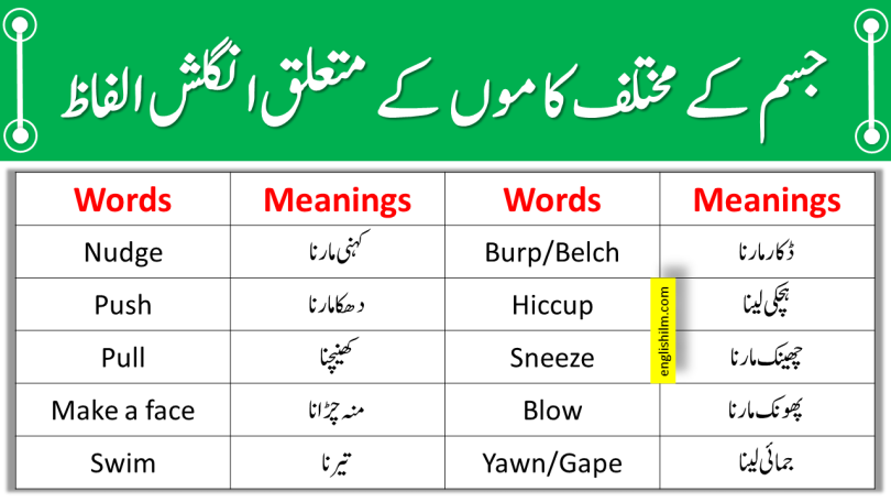 Body Actions And Movements Vocabulary In English With Urdu Meanings