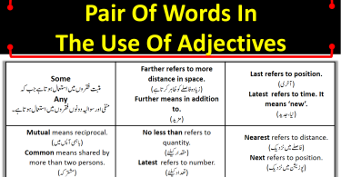 Pair Of Words In The Use Of Adjectives With Examples | Grammar