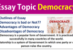 Complete Essay On Democracy For Beginners To Expert Level