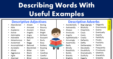 700+ Describing Words With Useful Examples | Descriptive Words