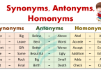 100+ Synonyms, Antonyms, and Homonyms Words List In English