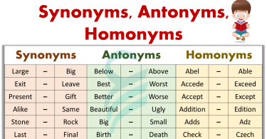 100+ Synonyms, Antonyms, and Homonyms Words List In English