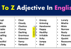 Adjective Usage and List Of Examples In English Grammar