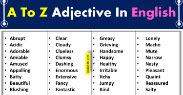 Adjective Usage and List Of Examples In English Grammar