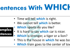 Sentences With "Which" | 15+ Examples Sentences In English