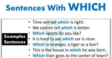 Sentences With "Which" | 15+ Examples Sentences In English