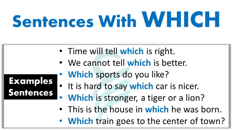 Sentences With "Which" | 15+ Examples Sentences In English