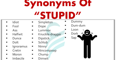 Another Words For “Stupid” | 150+ Synonyms Of Stupid