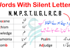 Words With Silent Letters In English With Urdu Meanings