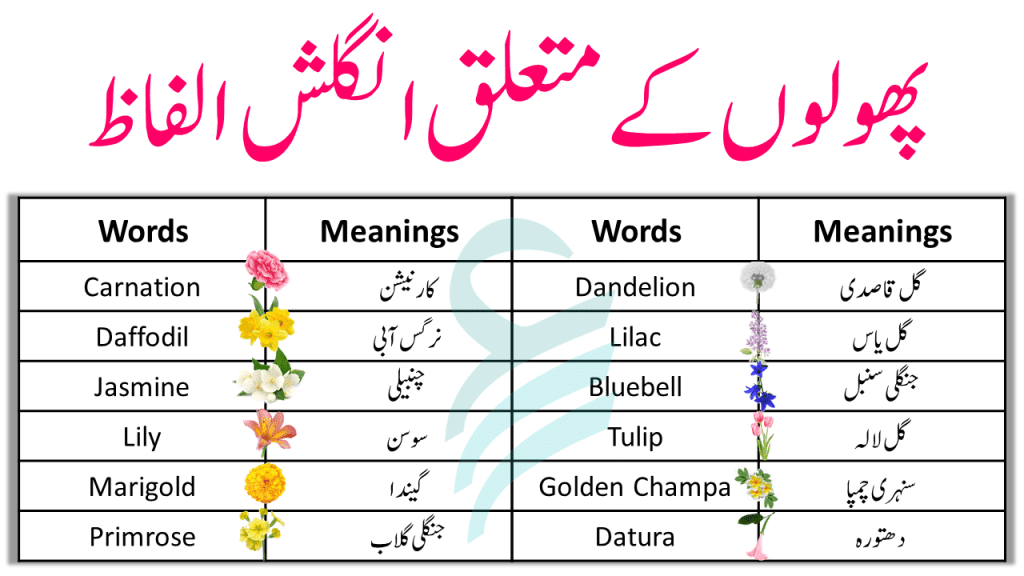 Flowers Name List In English and Urdu Meanings With Pictures