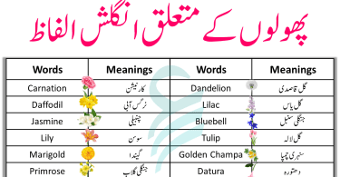 Flowers Name List In English and Urdu Meanings With Pictures