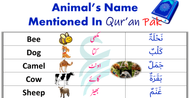 Animals in Quran | 21 Animals Mentioned in Holy Qur’an