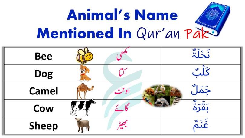 Animals in Quran | 21 Animals Mentioned in Holy Qur’an