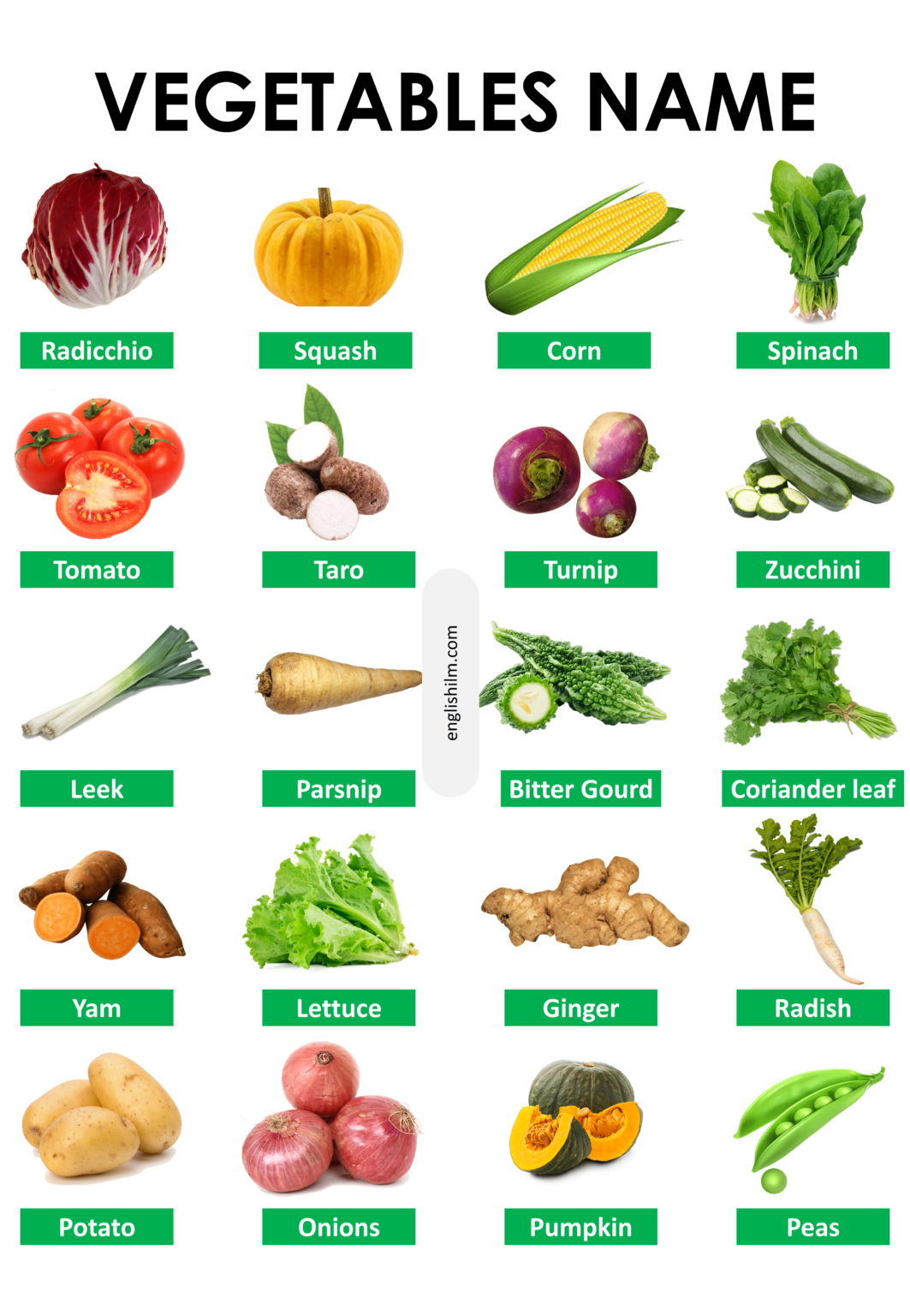 Vegetables: List of Vegetable Names in English with Images
