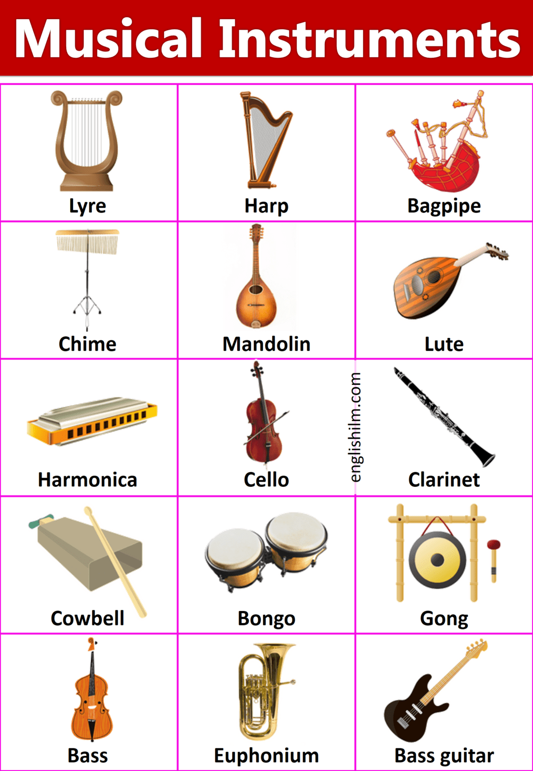 Names of The Musical Instruments with Images | English ilm