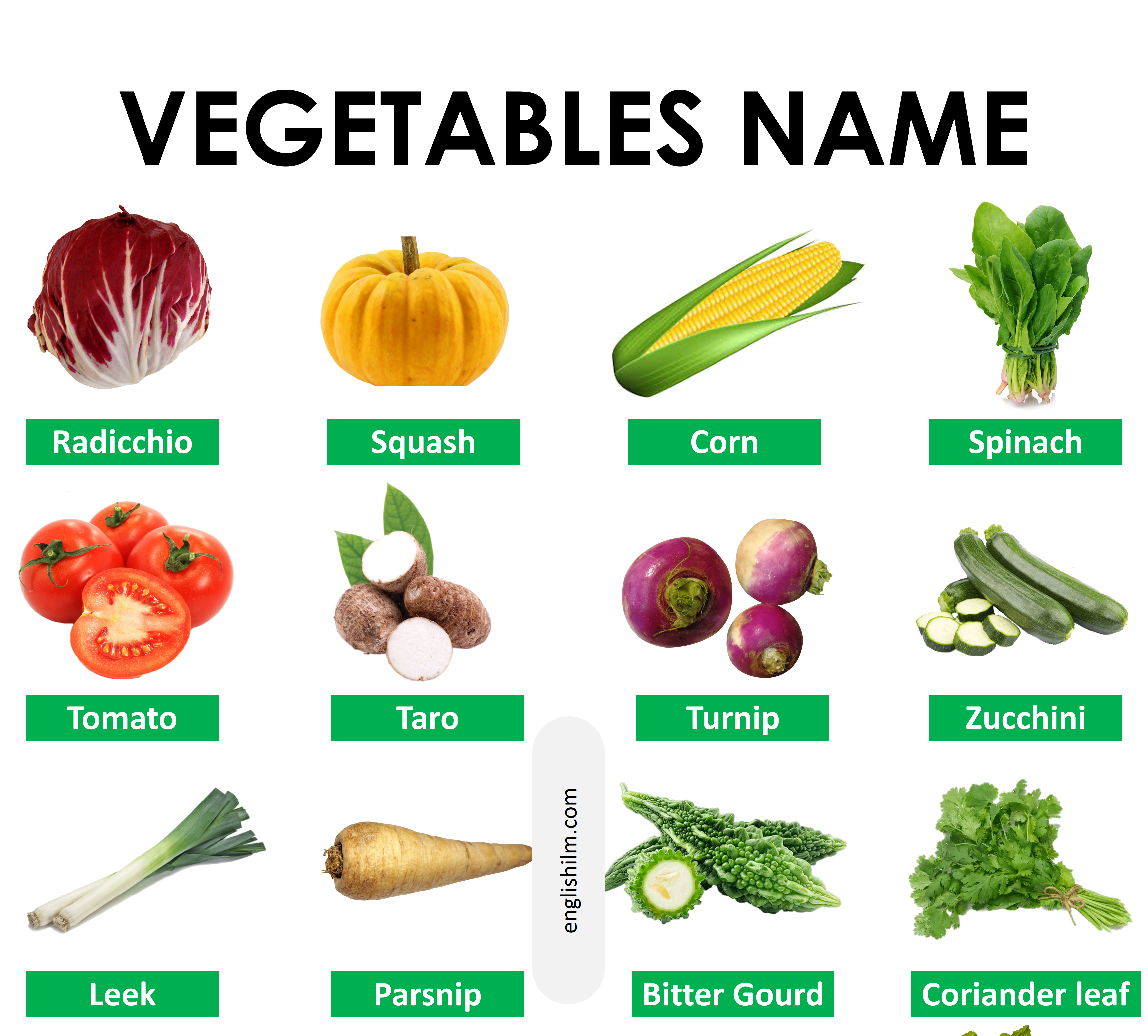 Vegetables: List of Vegetable Names In English with Images