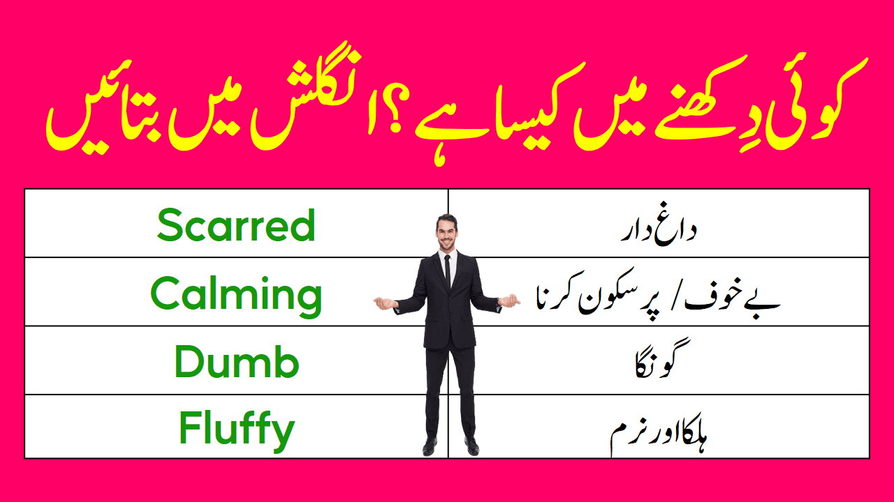 Human Personality Adjectives in English with Urdu Meanings | PDF