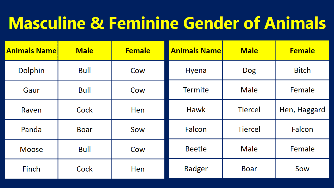 Masculine & Feminine Gender Animals In English with Images