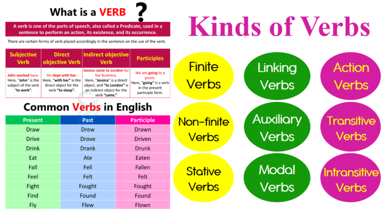 Verb: Definition, Types, and Helpful Examples in English