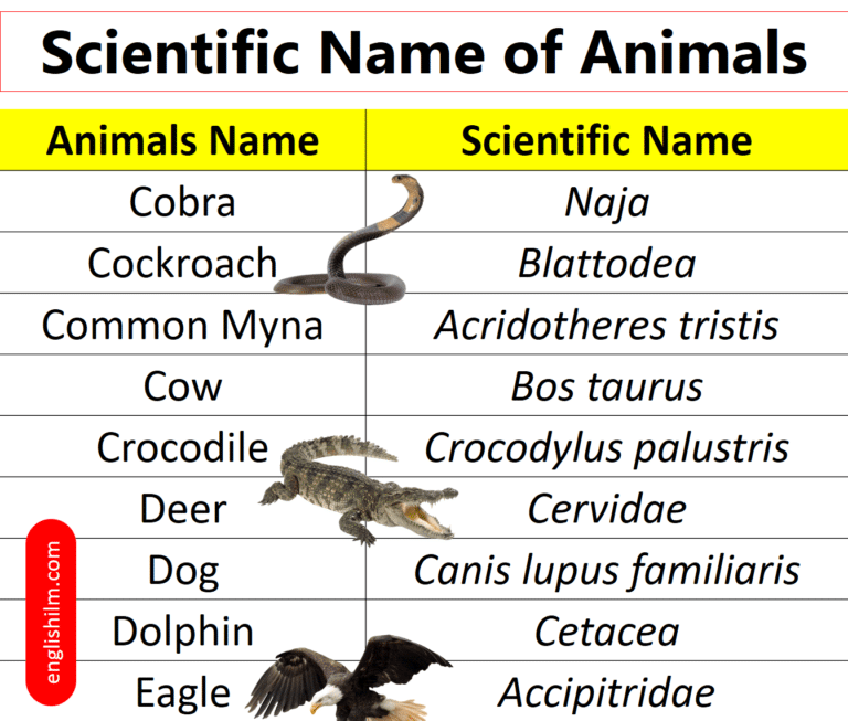 100+ Scientific Names of Animals in English | Scientific Names