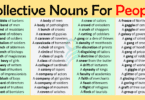 Collective Nouns For People In English | Collective Nouns