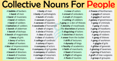 Collective Nouns For People In English | Collective Nouns