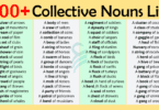 Collective Nouns List In English | Collective Nouns Examples