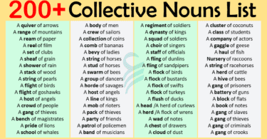 Collective Nouns List In English | Collective Nouns Examples