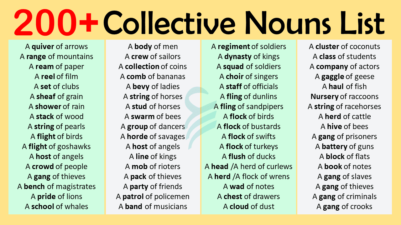 Collective Nouns List In English | Collective Nouns Examples