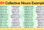 Collective Nouns Examples In English | Useful Examples