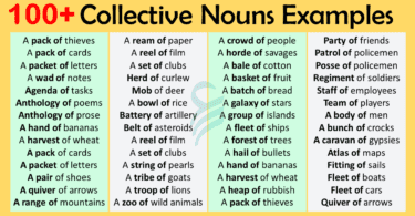 Collective Nouns Examples In English | Useful Examples