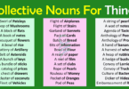 Collective Nouns For Things In English | Collective Nouns