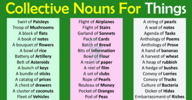 Collective Nouns For Things In English | Collective Nouns