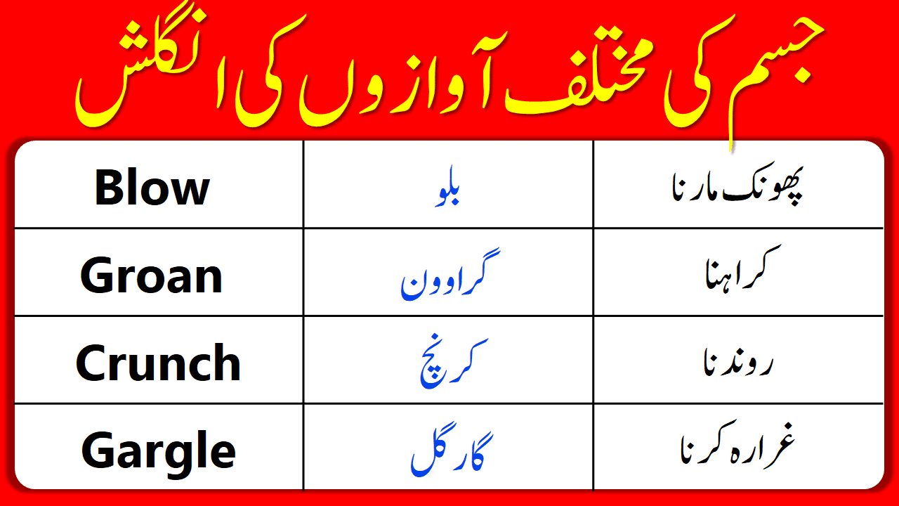 List of Body Sounds in English with Urdu Meanings and PDF