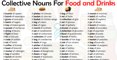 100+ Collective Nouns List for Food and Drinks | Collective Nouns