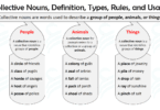 Collective Nouns Definition, Rules, Usage, and Helpful Examples