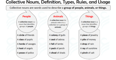 Collective Nouns Definition, Rules, Usage, and Helpful Examples